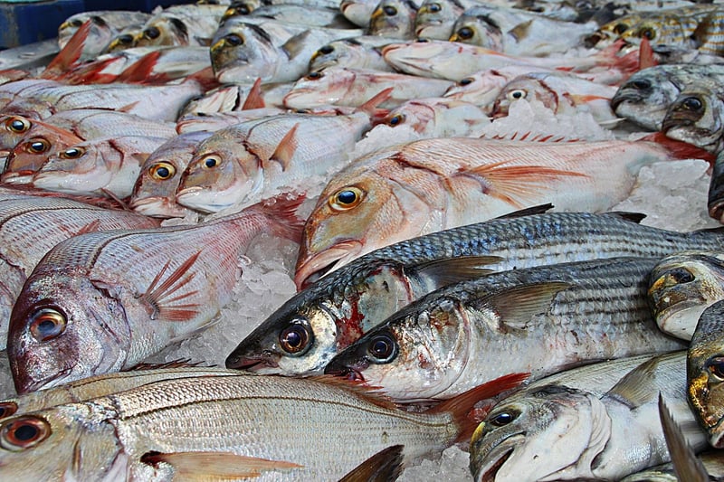 Tsukiji Fish Market